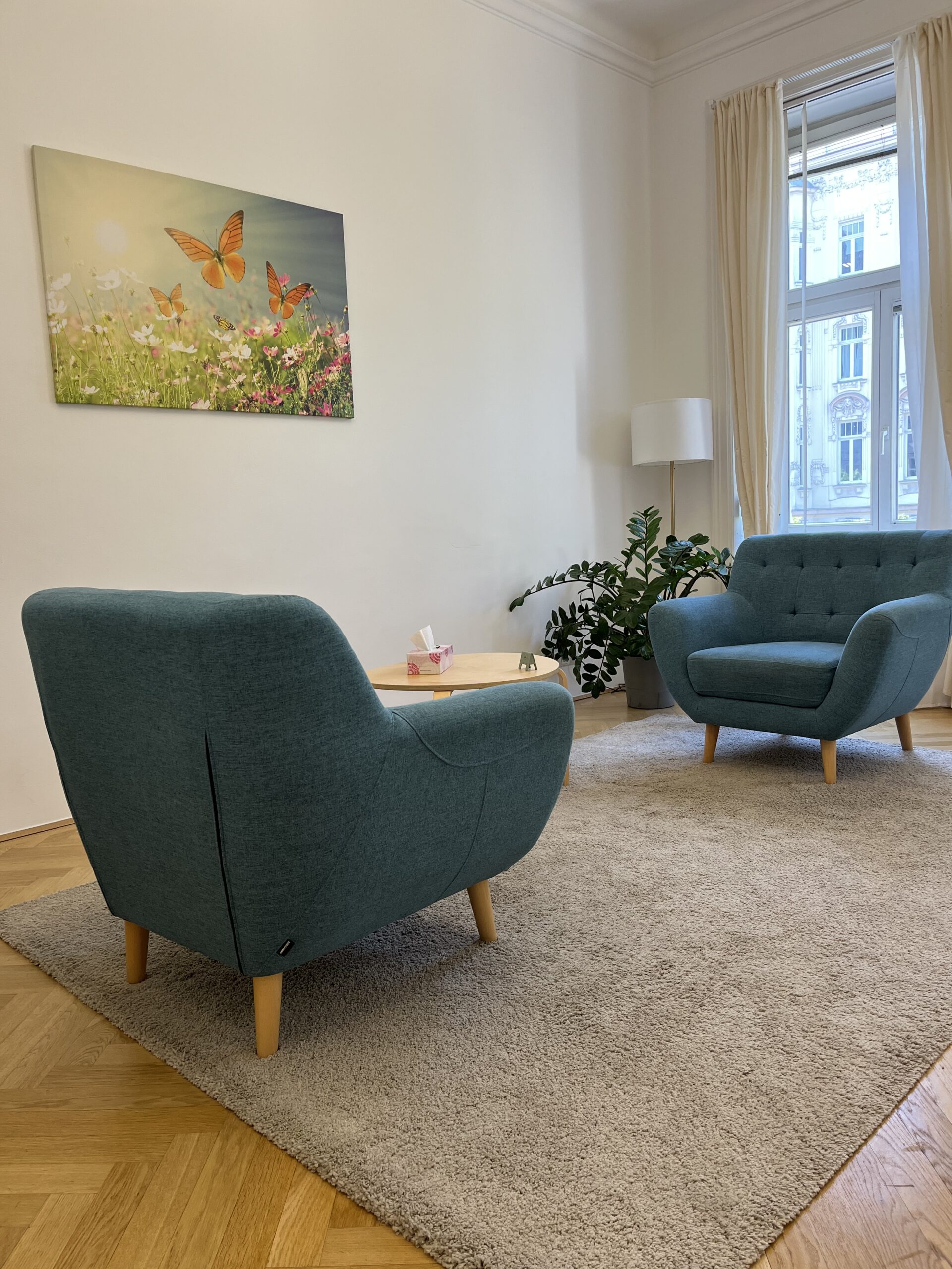 Psychosoziale Beratung Praxisraum Alserstraße 30, 1090 Wien